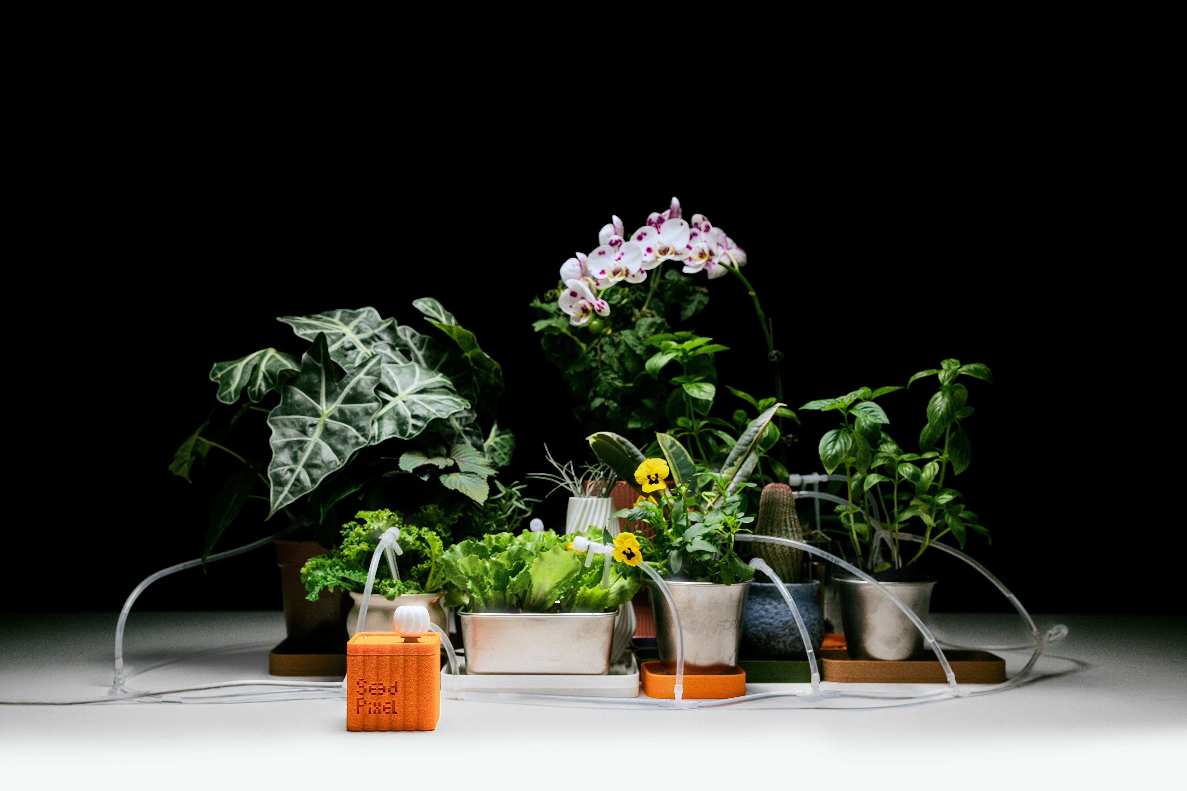 SeedPixel orange cube with tubing connected to potted indoor plants on a white surface.