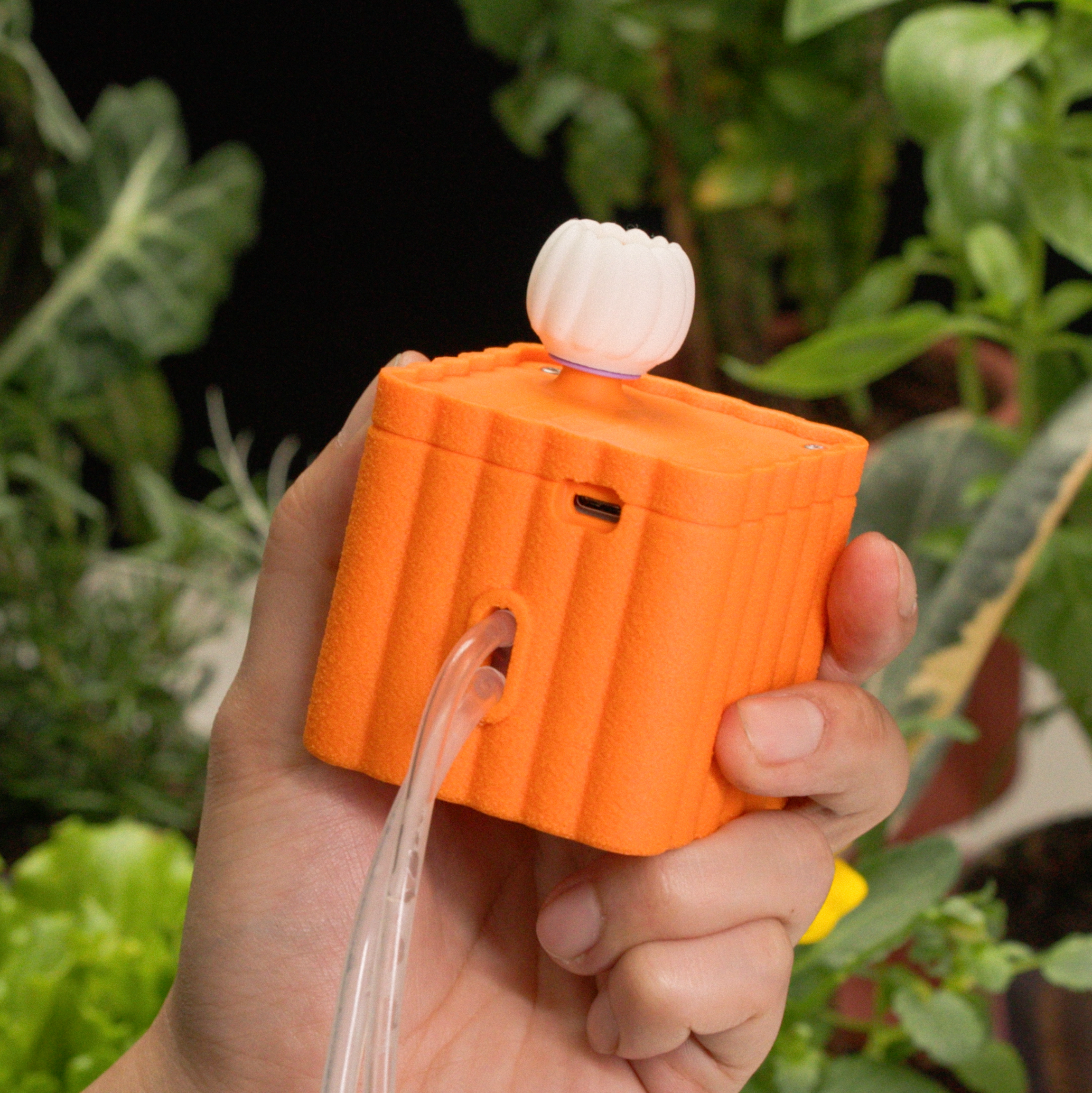 App screenshot: micro pump garden corner experience.