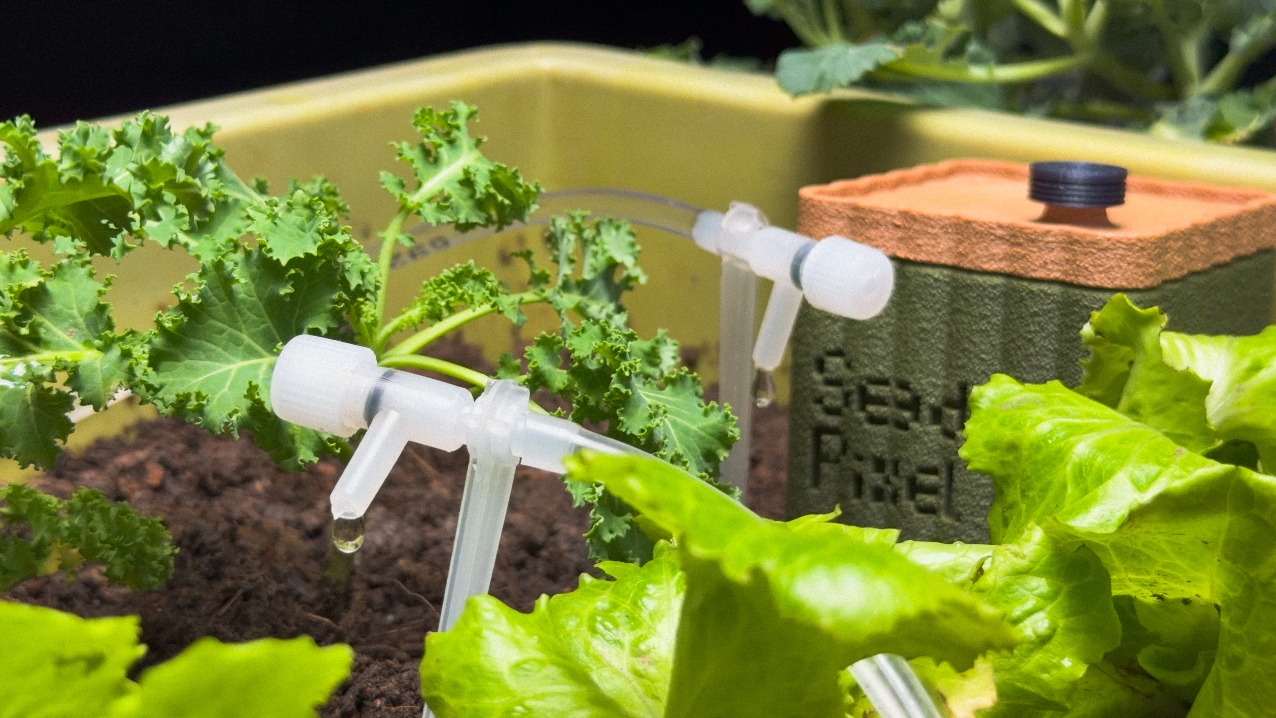 SeedPixel cultivation and watering path customization.